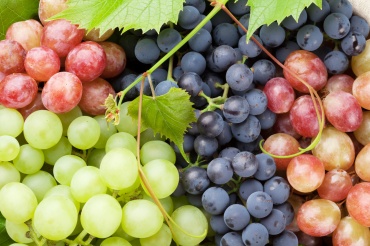 Сусло виноградное деионизированное (ректификат)